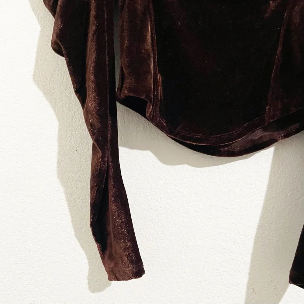 Free People Hold Me Velvet Long Puff Sleeve Top‎ in Brown